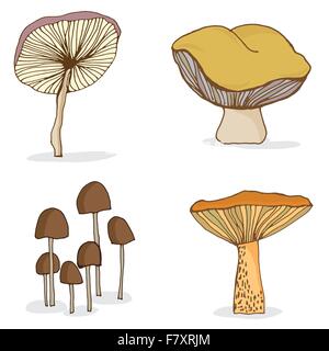 Satz von verschiedenen Waldpilzen. Stock Vektor