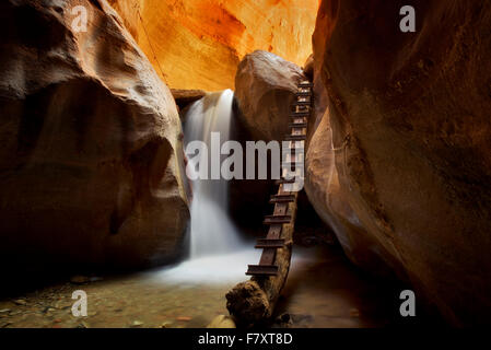 Wasserfall mit Leiter in Kanarra Creek. Utah. Dixie National Forest Stockfoto