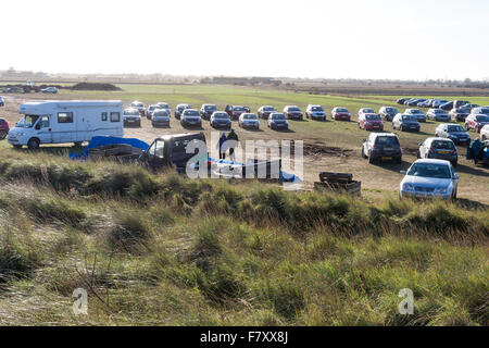 Graue Dichtungen Donna Nook, North Lincolnshire, England im November 2015 während der Zucht und Paarungszeit Stockfoto