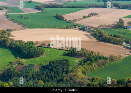 Feld-Landschaft in der Nähe von Damme (Dümmer) von oben, Landkreis Vechta, Niedersachsen, Deutschland Stockfoto