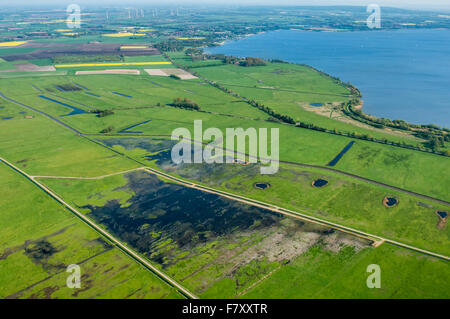 Luftbild auf See Dümmer, Landkreis Diepholz, Niedersachsen, Deutschland Stockfoto