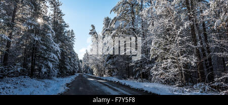 Brillante Sonnenschein am Morgen. Sonnenaufgang hinter schneebedeckten Tannen.  Hohen Winterwald entlang Landstraßen in Nordontario. Stockfoto