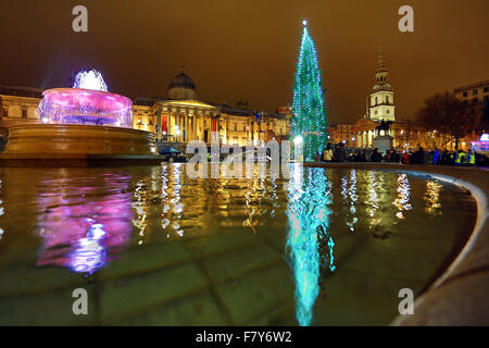 London, UK. 3. Dezember 2015. Menschenmassen trotzten dem drohenden Regen um die Beleuchtung der Weihnachtsbaum Trafalgar Square in London zu sehen. Der Baum ist ein traditionelles Geschenk von den Menschen in Norwegen. Bildnachweis: Paul Brown/Alamy Live-Nachrichten Stockfoto