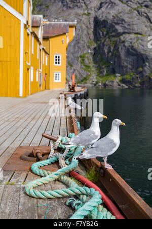 Hafen von dem Erbe Dorf Nusfjord auf den westlichen Lofoten nach a-Dur Zentrum für Norwegens Kabeljau Smøla Industrie Stockfoto