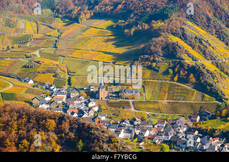 Weinberge im Herbst, Mayschoß, Ahrtal Wein-Region, Eifel, Rheinland-Pfalz, Deutschland Stockfoto