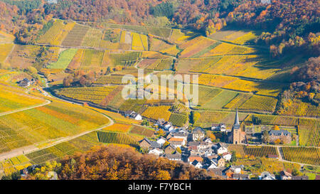 Weinberge im Herbst, Mayschoß, Ahrtal Wein-Region, Eifel, Rheinland-Pfalz, Deutschland Stockfoto