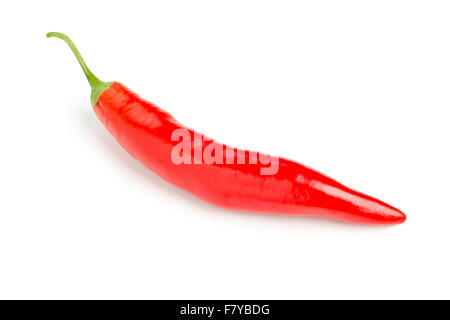 Einzigen, völlig ungeschnitten rote Chilischote auf weißem Hintergrund mit selektiven Fokus Stockfoto