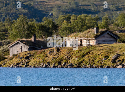 Alten Holzhütten oder Rorbuer mit Rasen Dächer an den Ufern des See Gjende im Jotunheimen Nationalpark Norwegen Stockfoto
