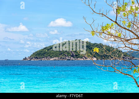 Wunderschöne Naturlandschaft blauen Himmel und das Meer unter dem Baum auf der Insel Koh Miang am Strand im Sommer im Mu Ko Similan Stockfoto