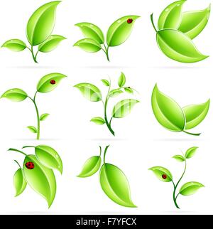 Frische grüne Blätter-Icon-Set Stock Vektor