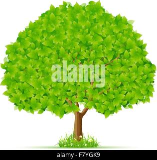 Isolierte grüner Baum mit Rasen und Blumen Stock Vektor