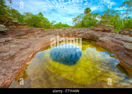 Farben bei Cano Cristales, Kolumbien, Unterwasserpflanzen (Macarenia Clarigera) endemisch auf kleinen Stream-Gebiet und Gerbsäure st Stockfoto