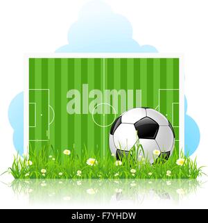 Fußball auf dem grünen Rasen Stock Vektor