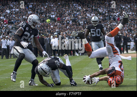 Oakland, CA, USA. 13. Sep, 2015. Cincinnati Bengals Wide Receiver MARVIN JONES (82) kann nicht auf den Ball an der Rezeption der Pass in die Endzone im zweiten Quartal von Oakland Raiders Runningback LATAVIUS MURRAY (28) verteidigt, während eines Spiels im O.co Coliseum in Oakland, Kalifornien halten. Die Benglas schlagen die Raiders 33-13. © Paul Kitagaki Jr/Sacramento Bee/ZUMA Draht/Alamy Live-Nachrichten Stockfoto