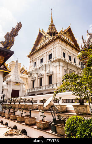 Bonsai-Bäume im Tempel Wat Phra Kaeo, Bangkok, Thailand Stockfoto