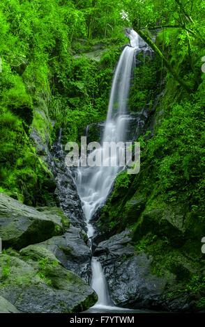 Savari Wasserfall befindet sich in der Netravali Stadt von Sanguem Taluka in Goa, Indien. Stockfoto