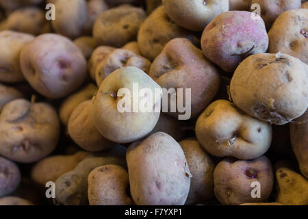 rote runzlige Kartoffeln - roh runzligen Kanarischen Kartoffeln - Papas arrugadas Stockfoto