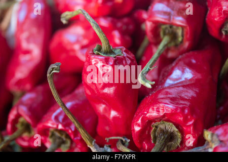 kleine rote Paprika / Chili Pfeffer Makro Stockfoto