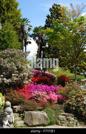 Azaleen im Steingarten Leonardslee Gardens Stockfoto