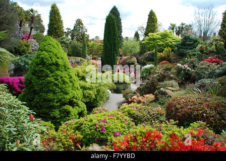 Azaleen im Steingarten Leonardslee Gardens Stockfoto