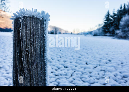 Schuss von einem hölzernen Pfosten bedeckt mit Raureif Eiskristalle im Winter hautnah Stockfoto