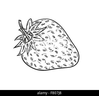 Skizze der Erdbeere Stock Vektor