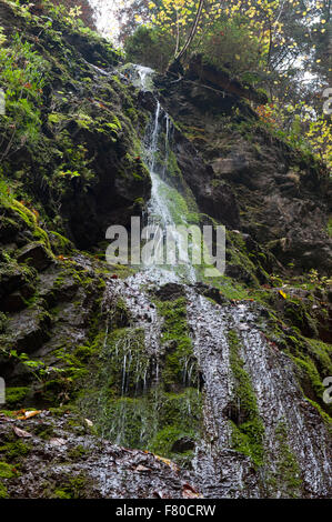 Wasserfall in Lotenbachklamm, Südschwarzwald, Baden-Württemberg, Deutschland Stockfoto