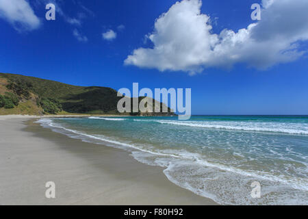 Cape Reinga, Neuseeland Stockfoto