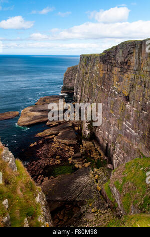 Ein Blick auf die Klippen im Nordwesten der Insel Handa, Sutherland, Schottland. August. Stockfoto