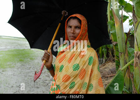 Besuch bei Flut betroffenen Norden Bangladesch. Dorf-Frau mit Regenschirm. Karigam Bezirk, rund 400 km von Dhaka Stockfoto