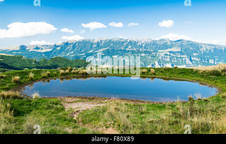 Alpine kleiner Teich für die Bewässerung der Kühe, die auf den Wiesen grasen verwendet. Stockfoto