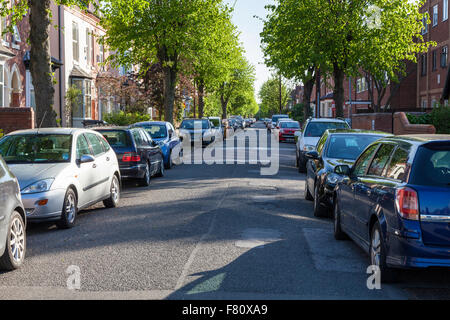 Parkplätze an der Straße. Einer von Bäumen gesäumten Straße mit Autos auf beiden Seiten geparkt, West Bridgford, Nottinghamshire, England, Großbritannien Stockfoto