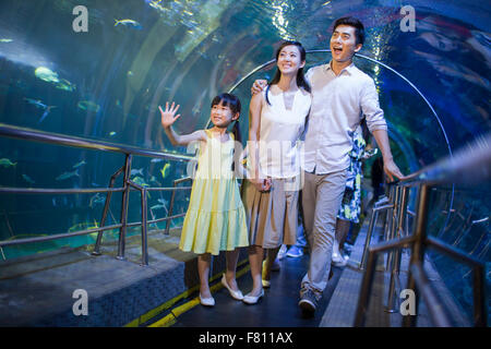 Junge Familie im aquarium Stockfoto