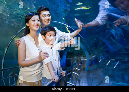 Junge Familie im aquarium Stockfoto