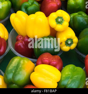 PAPRIKA Stockfoto