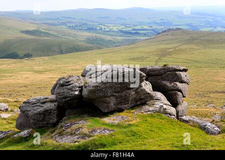 Hase Tor, Blick in Richtung Ger Tor, Tavy Cleave, Dartmoor National Park, Devon, England, UK Stockfoto