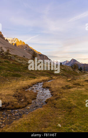 Fließt klares Wasser auf hoch gelegenen alpinen Stream in unberührten Idylle in den französischen Alpen. Breite Stockfoto