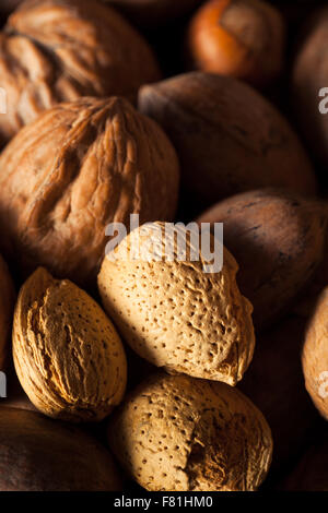 Sortierte Bio Nussmischung mit Walnüssen Mandeln und Pekannüsse Stockfoto