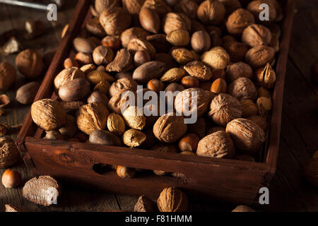 Sortierte Bio Nussmischung mit Walnüssen Mandeln und Pekannüsse Stockfoto