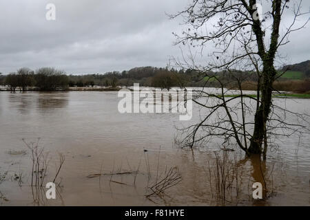 Süd-Wales, UK. 4. Dezember 2015. Längeren Regen fällt an gesättigten Land verlassen hat, tief liegende landwirtschaftliche Flächen überflutet. Der Fluss Towy platzt seine Ufer überschwemmen umliegende Farmland in der Nähe von Carmarthen, South Wales, UK. Von B4300 betrachtet. Bildnachweis: Algis Motuza/Alamy Live-Nachrichten Stockfoto