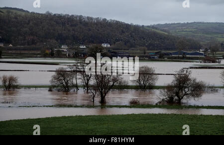 Süd-Wales, UK. 4. Dezember 2015. Längeren Regen fällt an gesättigten Land verlassen hat, tief liegende landwirtschaftliche Flächen überflutet. Der Fluss Towy platzt seine Ufer überschwemmen umliegende Farmland in der Nähe von Carmarthen, South Wales, UK. Von A40 betrachtet. Bildnachweis: Algis Motuza/Alamy Live-Nachrichten Stockfoto