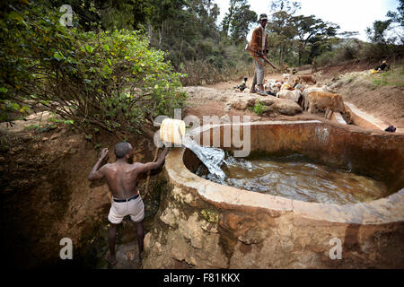 Bewaffneten Viehtreiber hüten Vieh Trog, singenden Brunnen in Marsabit im Norden Kenias. Stockfoto