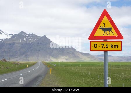 Rentier-Schilder entlang eine schöne Autobahn in Island Stockfoto