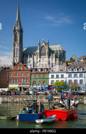 Angelboote/Fischerboote unterhalb St. Coleman Cathedral und die Stadt Cobh, Eire-Irland Stockfoto