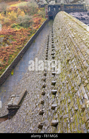 Caban Coch Damm und Reservoir, Elan Valley, Powys, Mid Wales, UK im November mit Herbstfarben Stockfoto