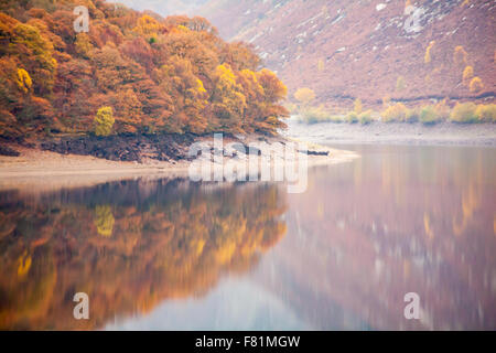 Herbstliche Reflexionen am Garreg DDU Dam und Stausee, Elan Valley, Powys, Mid Wales, Großbritannien im November mit Herbstfarben Stockfoto