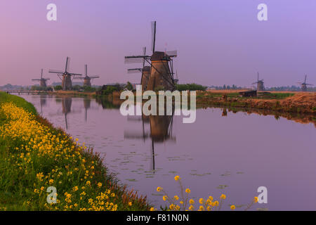 Die berühmten Windmühlen bei Kinderdijk, Südholland, Niederlande Stockfoto