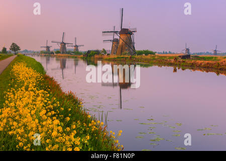 Die berühmten Windmühlen bei Kinderdijk, Südholland, Niederlande Stockfoto