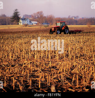 Landmaschinen, arbeitet auf einem Bauernhof Gebiet Maisstiel Stoppeln. Stockfoto