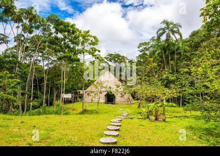 Lodge, bekannt als ein Maloka in der Amazonas-Regenwald in Brasilien Stockfoto